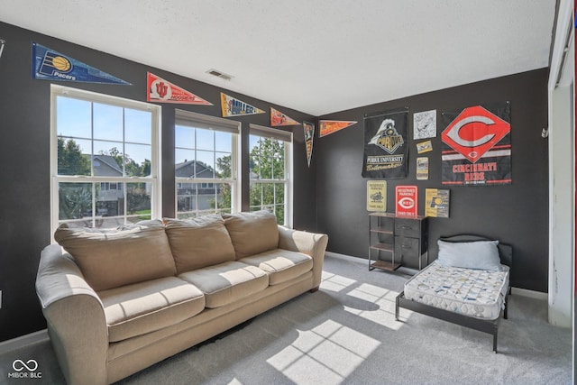 2116 Crimson Ln, Lebanon, IN 46052 - carpeted living room with baseboards