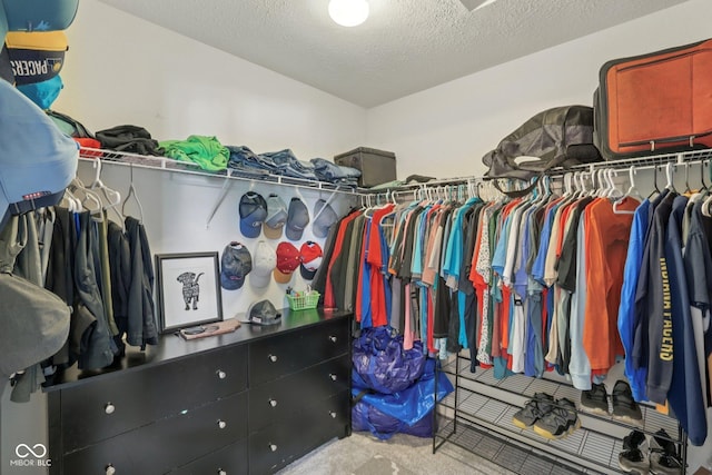 2116 Crimson Ln, Lebanon, IN 46052 - view of spacious closet
