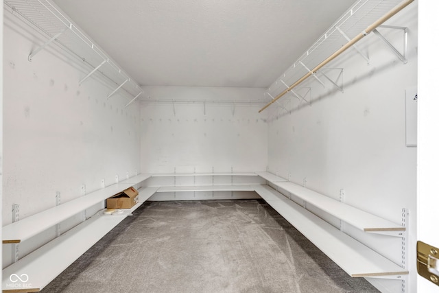 spacious closet with carpet floors