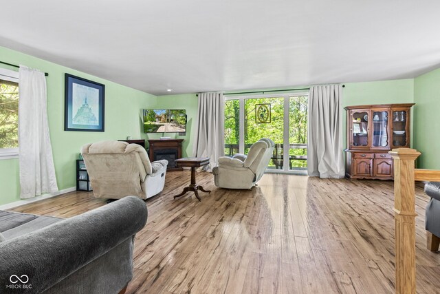 1686 Borders Rd, Nashville, IN 47448 - living room featuring wood-type flooring, a fireplace, and baseboards