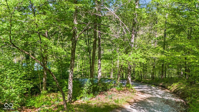 1686 Borders Rd, Nashville, IN 47448 - view of woods