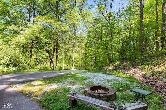 1686 Borders Rd, Nashville, IN 47448 - view of yard with an outdoor fire pit and a view of trees
