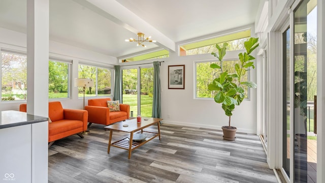 sunroom with a healthy amount of sunlight, vaulted ceiling, wood finished floors, and a chandelier