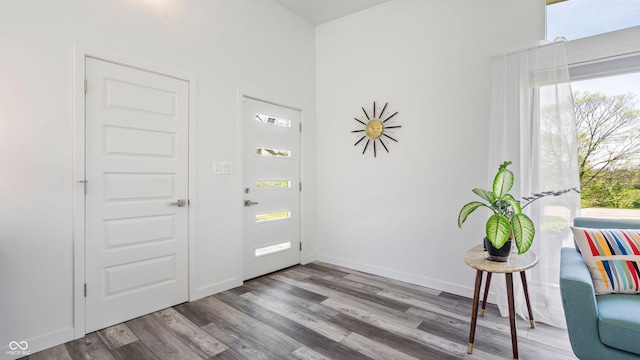 foyer entrance featuring plenty of natural light and wood finished floors