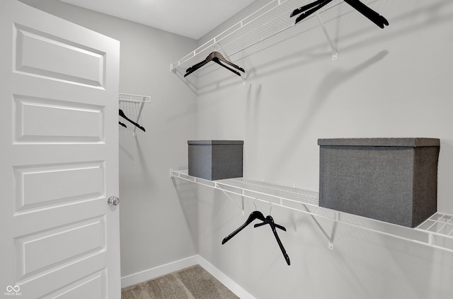7645 Marin Pkwy, Cumberland, IN 46229 - walk in closet with carpet floors