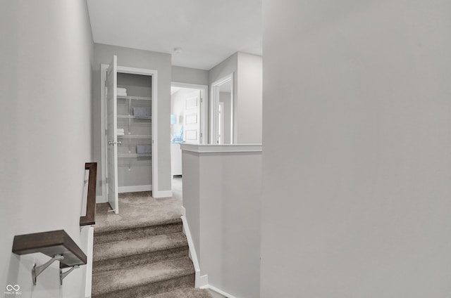 stairway featuring baseboards and carpet
