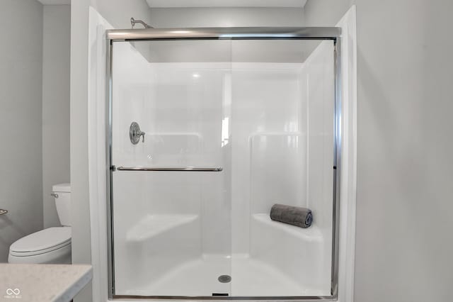 bathroom with vanity, a stall shower, and toilet