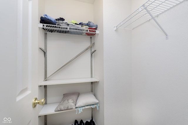 5646 Skipping Stone Dr, Indianapolis, IN 46237 - view of spacious closet