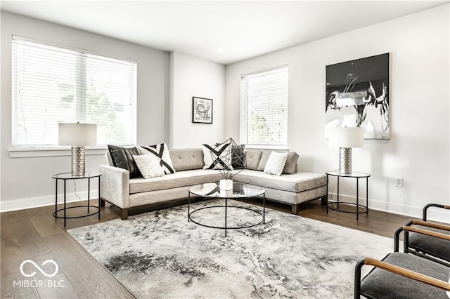 622 E 10th St Unit 212, Indianapolis, IN 46202 - living room featuring baseboards and wood finished floors