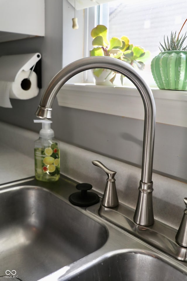 10688 Ashview Dr, Fishers, IN 46038 - details featuring a sink