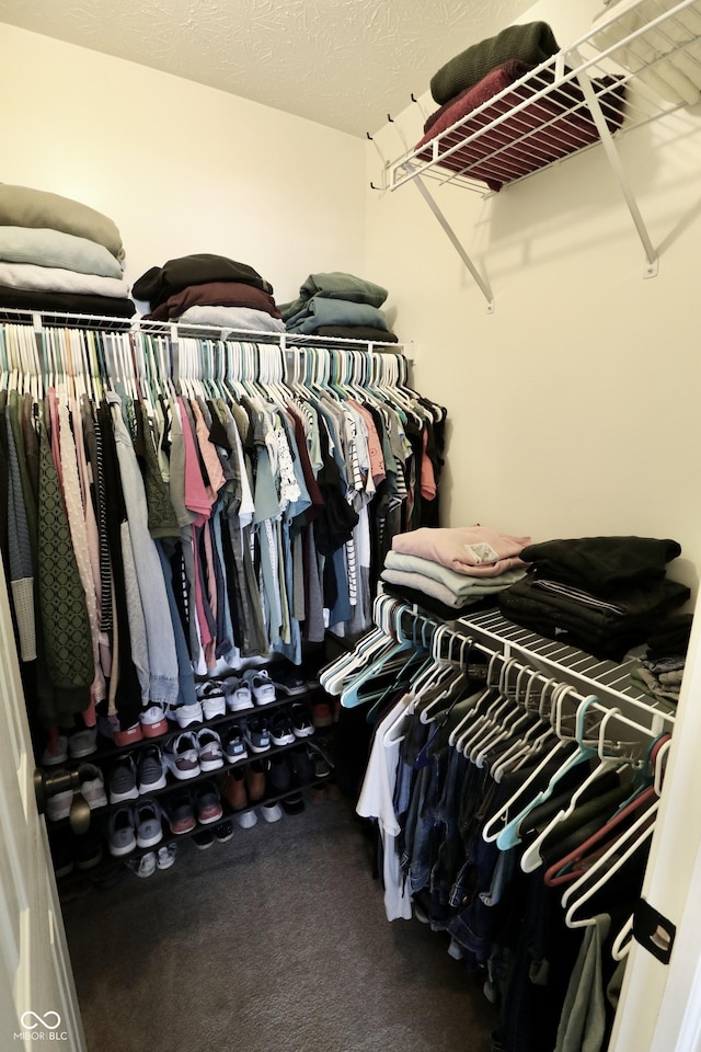 10688 Ashview Dr, Fishers, IN 46038 - walk in closet with carpet