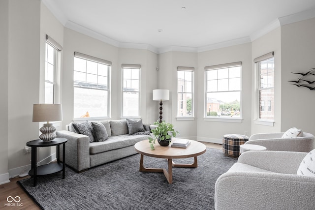 living area featuring crown molding, baseboards, and wood finished floors