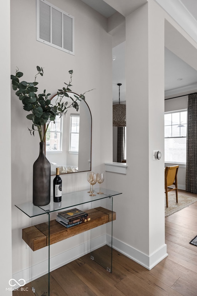 details featuring visible vents, baseboards, and wood finished floors