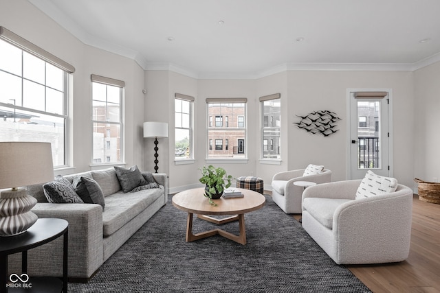 living room with ornamental molding and wood finished floors
