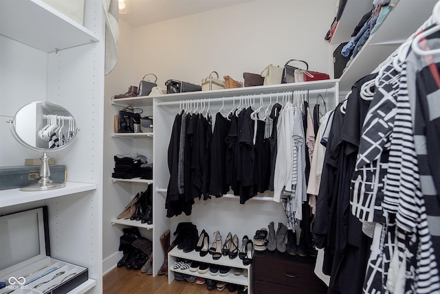 825 Iowa St, Indianapolis, IN 46203 - spacious closet with wood finished floors
