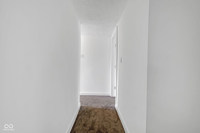 555 S Auburn St, Indianapolis, IN 46241 - corridor with carpet floors, baseboards, and a textured ceiling