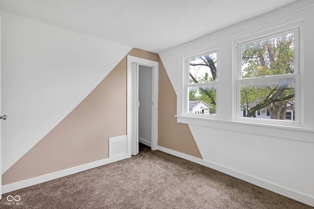 555 S Auburn St, Indianapolis, IN 46241 - additional living space with carpet floors, a textured ceiling, baseboards, lofted ceiling, and visible vents