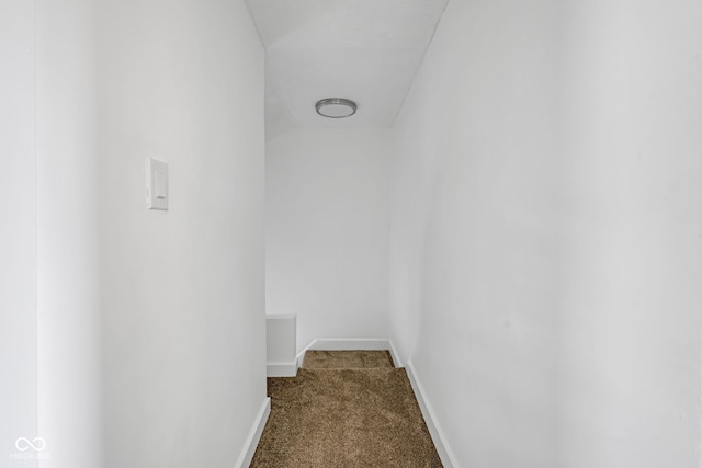 555 S Auburn St, Indianapolis, IN 46241 - walk in closet featuring dark colored carpet
