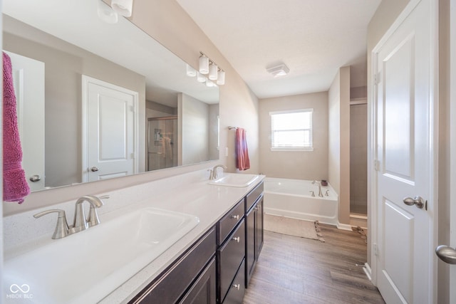 657 Kilmore Dr, Pendleton, IN 46064 - bathroom featuring a stall shower, a garden tub, a sink, and wood finished floors