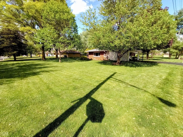 view of yard