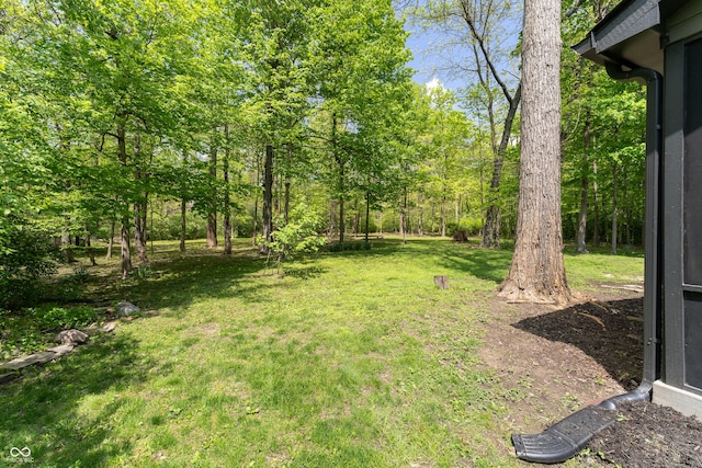 view of grassy yard