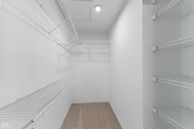 spacious closet with light carpet