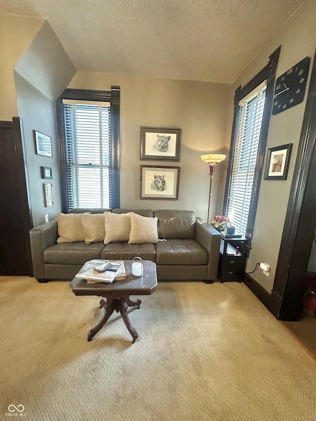 2119 S Garfield Dr, Indianapolis, IN 46203 - carpeted living area with a textured ceiling