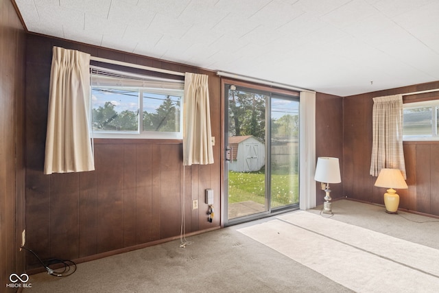 interior space featuring wooden walls, carpet flooring, and a wealth of natural light