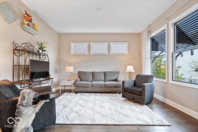 1013 Domino Dr, Carmel, IN 46032 - living room featuring baseboards and dark wood finished floors