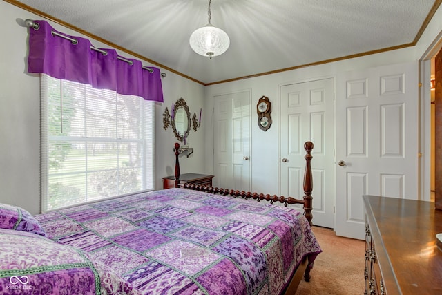 bedroom with light colored carpet, ornamental molding, and multiple closets