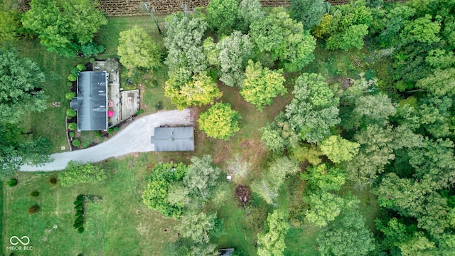 aerial view