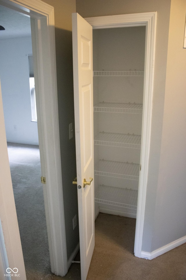 8912 Hosta Way, Indianapolis, IN 46113 - view of closet