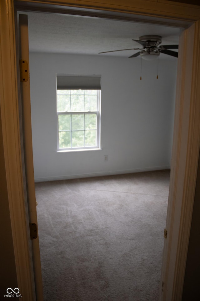 8912 Hosta Way, Indianapolis, IN 46113 - spare room with carpet flooring and a ceiling fan
