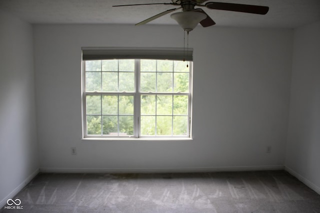 8912 Hosta Way, Indianapolis, IN 46113 - spare room featuring plenty of natural light, a ceiling fan, and carpet flooring