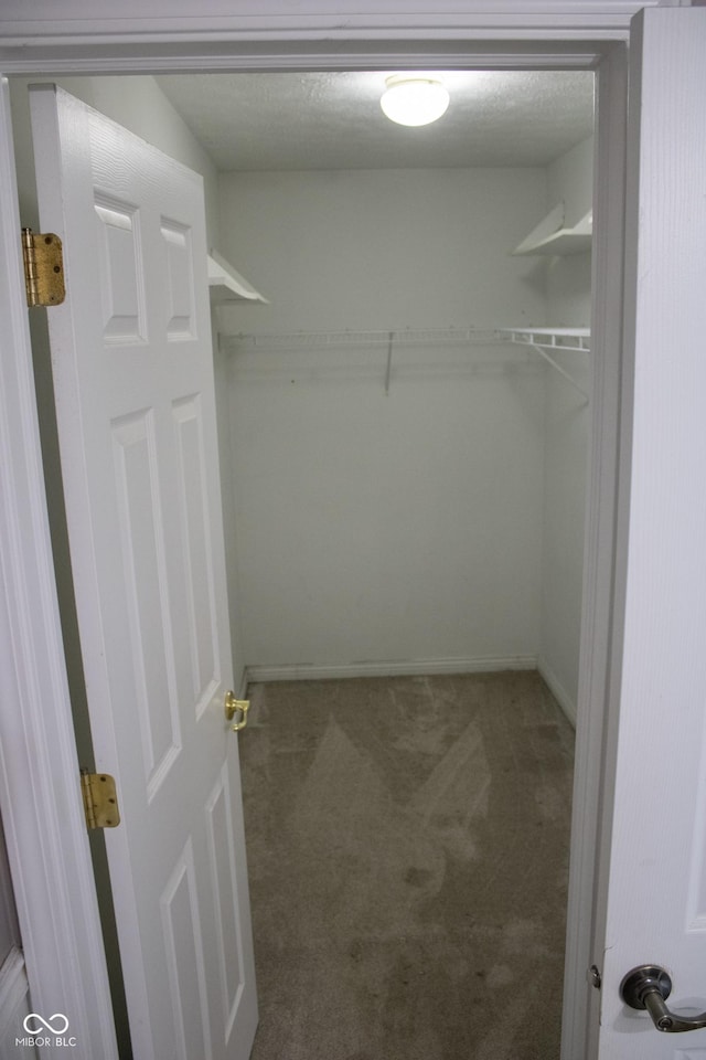 8912 Hosta Way, Indianapolis, IN 46113 - walk in closet with carpet floors