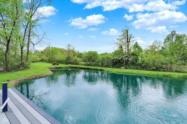 water view featuring a heavily wooded area