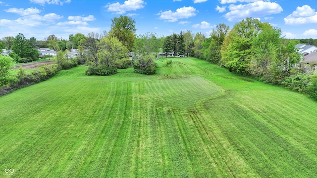 view of green lawn