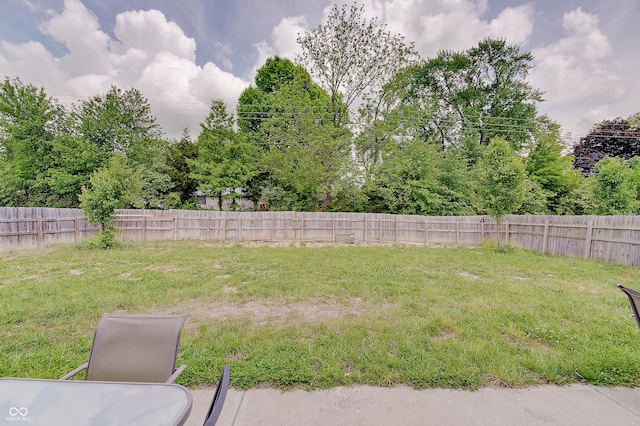 7303 Beal Ln, Indianapolis, IN 46217 - view of yard