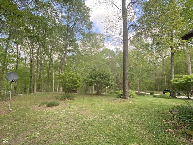 view of yard