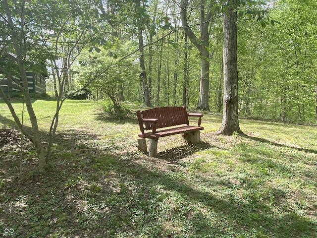 view of yard featuring a view of trees