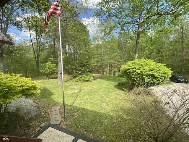 view of yard