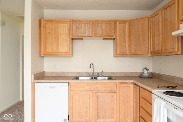 3006 Wildcat Ln, Indianapolis, IN 46203 - kitchen featuring light brown cabinetry, a sink, and white appliances