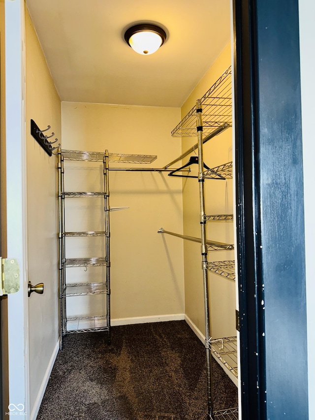 walk in closet with dark colored carpet