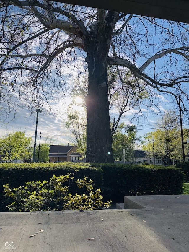 view of home's community