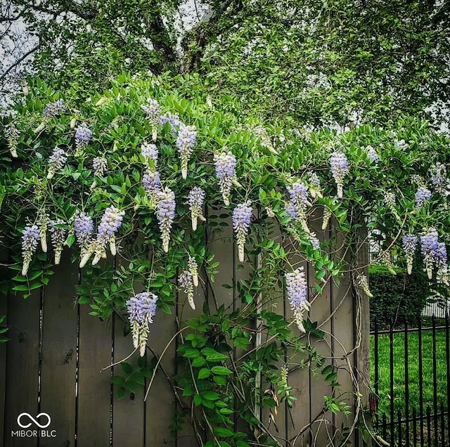 exterior details with fence