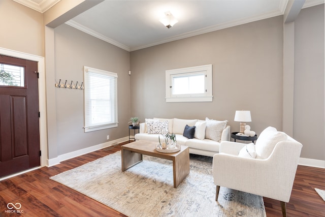 living area featuring crown molding, dark wood-style floors, and a wealth of natural light