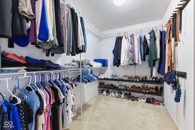 walk in closet featuring carpet flooring