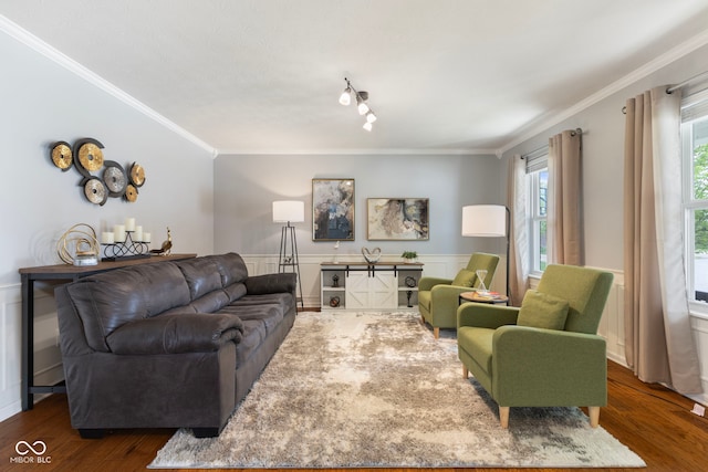living area featuring crown molding, a wainscoted wall, rail lighting, and wood finished floors