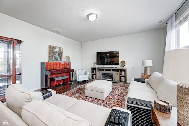 14584 Hinton Dr, Fishers, IN 46037 - living room with wood finished floors, a glass covered fireplace, and baseboards