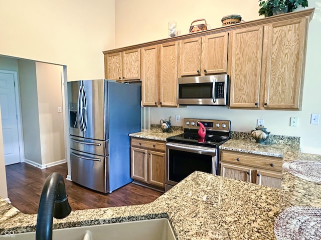 kitchen featuring light stone counters, stainless steel appliances, and dark wood-type flooring